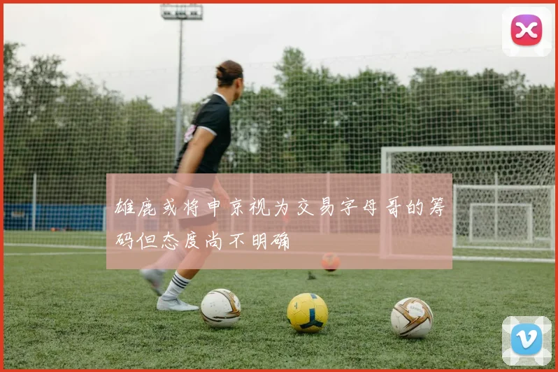 雄鹿或将申京视为交易字母哥的筹码但态度尚不明确
